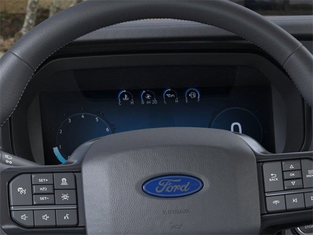 2025 Ford F-150 Platinum®