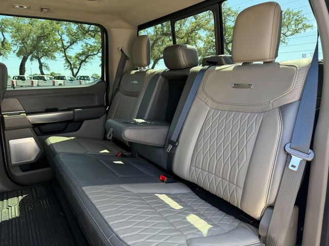2024 Ford F-150 Platinum