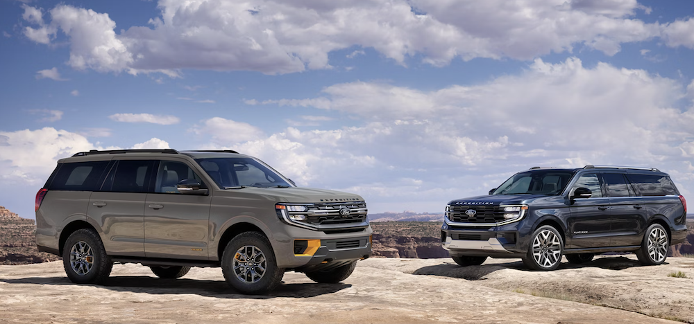 New 2026 Ford Expedition for sale in Pleasanton, TX