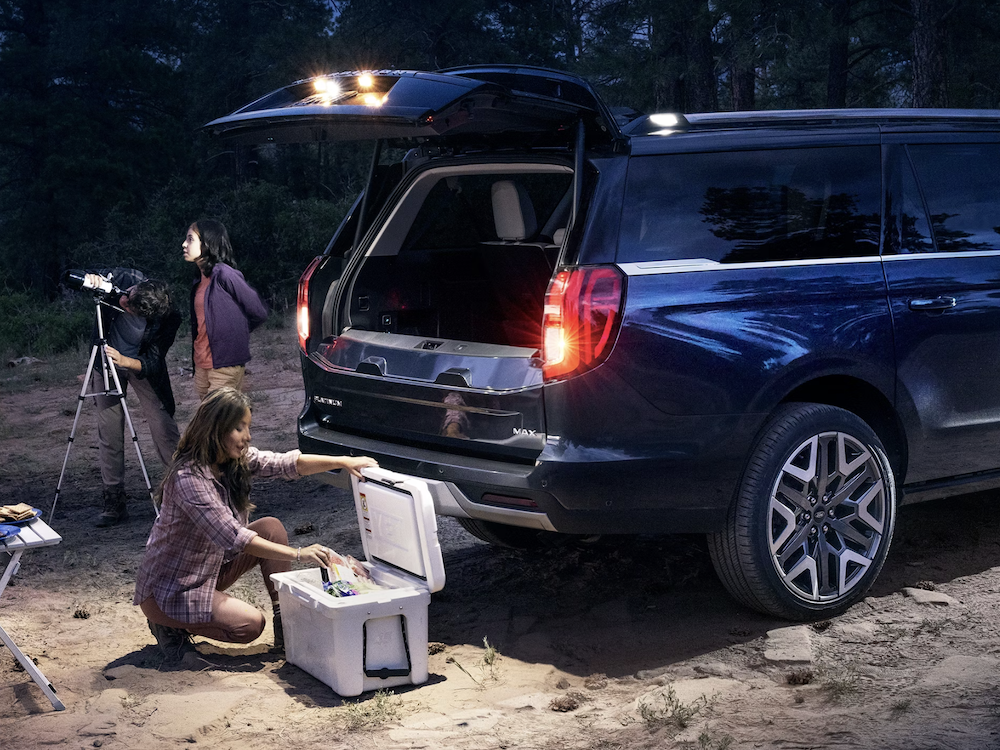 New 2026 Ford Expedition for sale in Pleasanton, TX