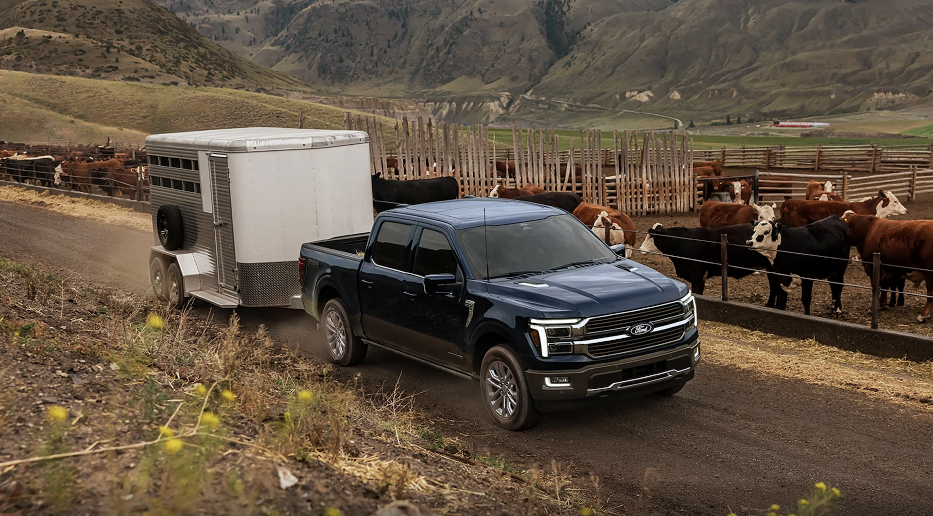 New Ford F-150 for sale near San Antonio