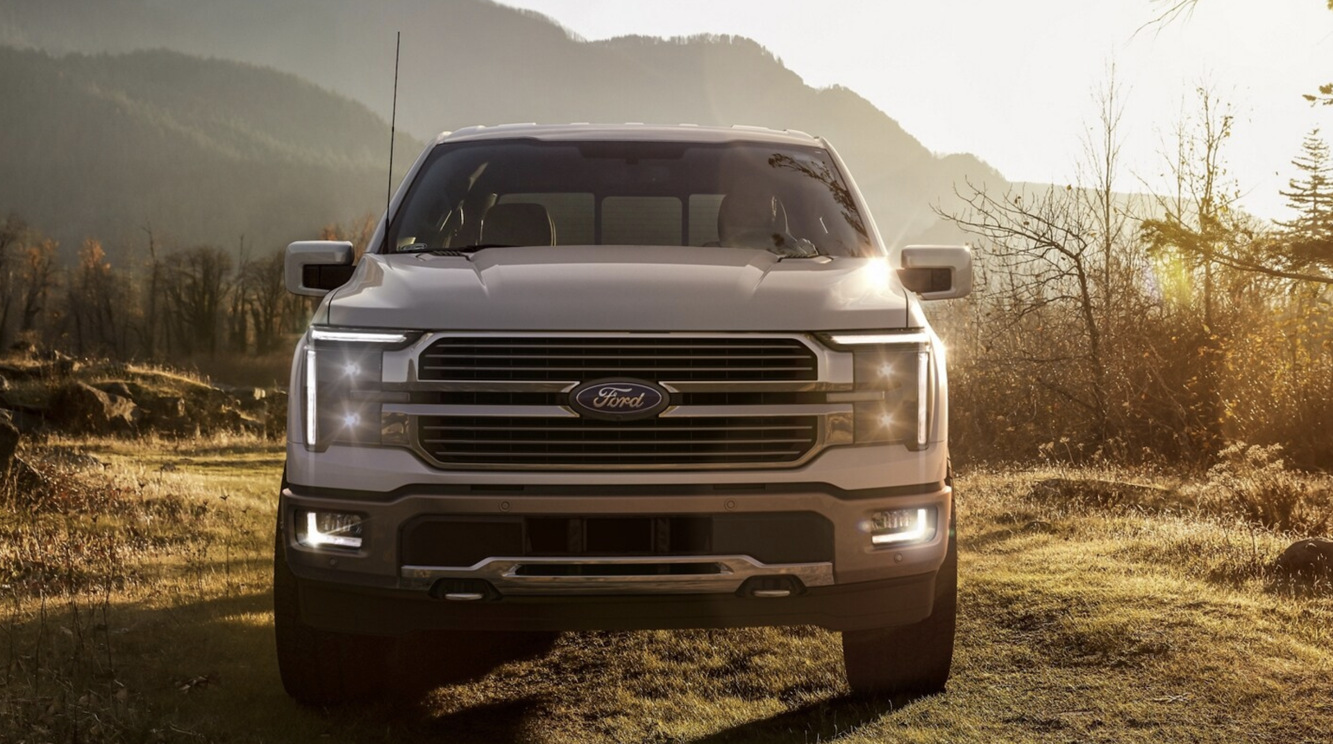 New 2024 Ford F-150 Colors Near Me in Floresville, TX